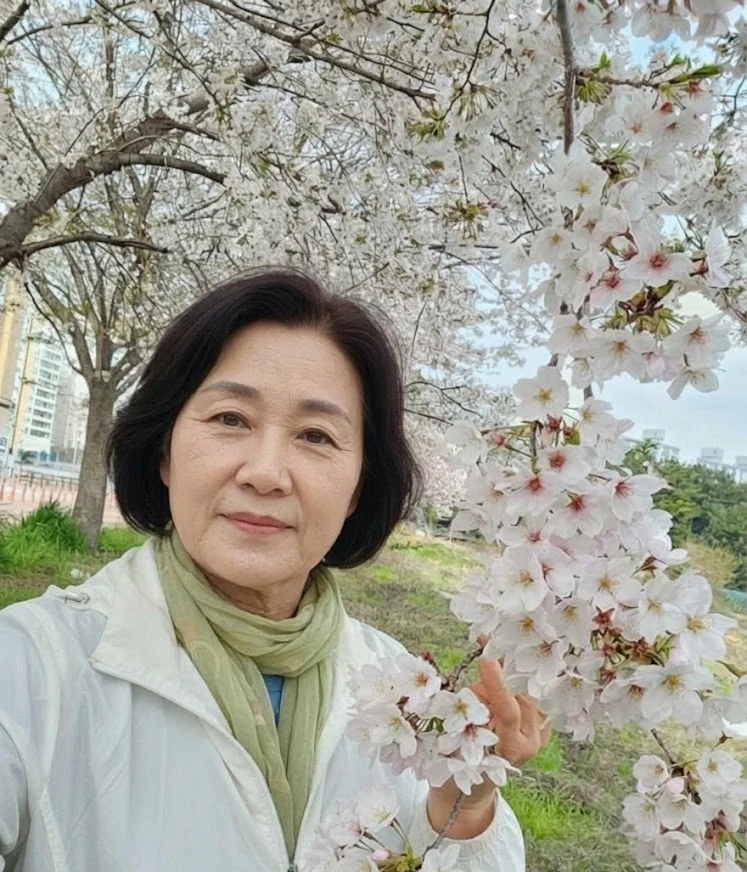 제공된 본문 이미지 12